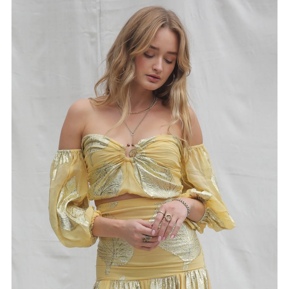 NWT Jen’s Pirate Booty Stunning Crop Top